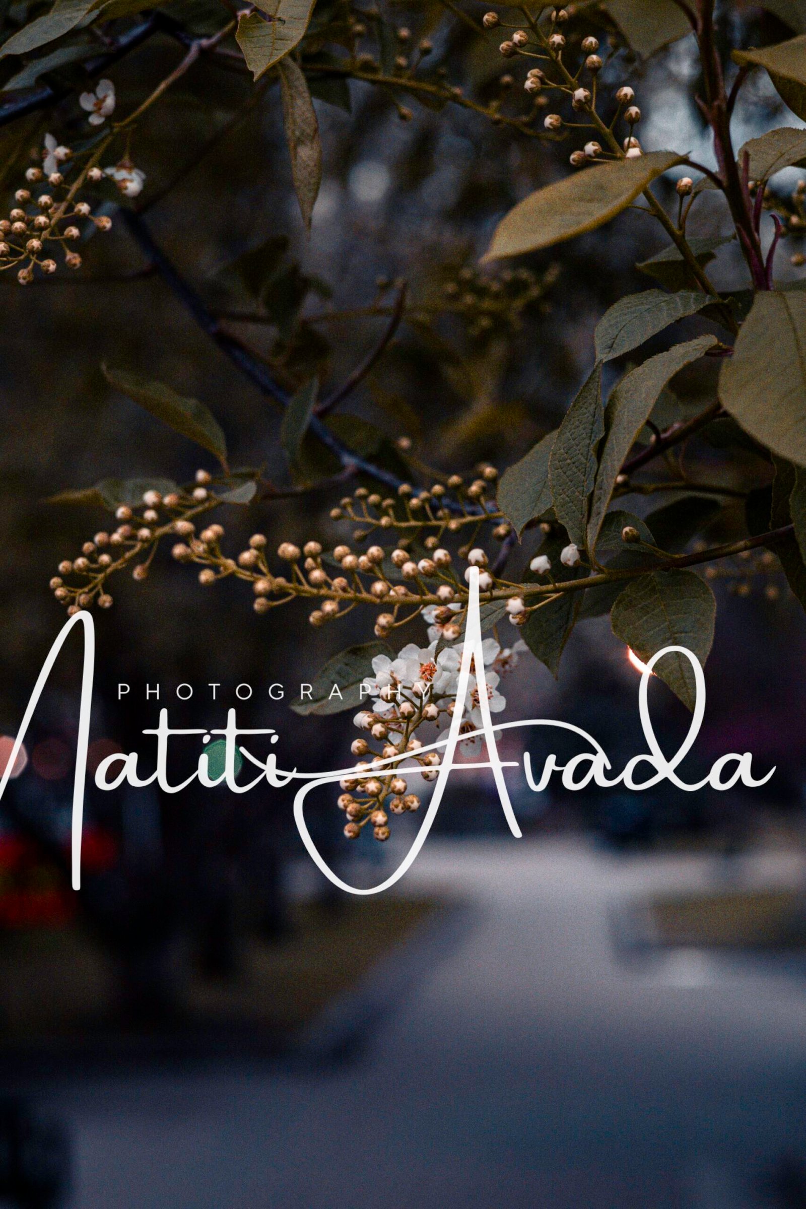 Little touch of sunrise