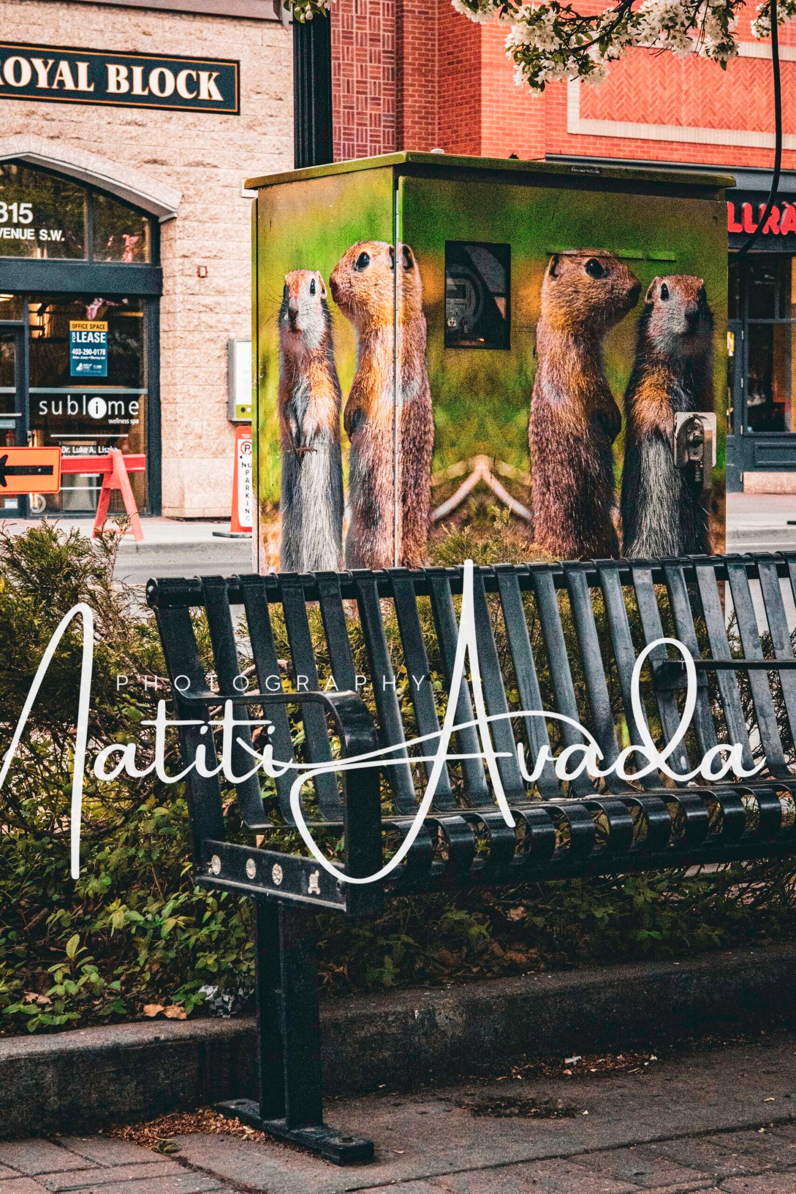 City wildlife ðŸ¤